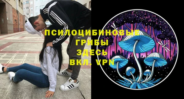 прущая мука Пересвет