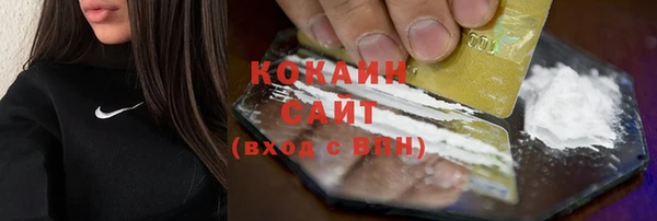 прущая мука Пересвет