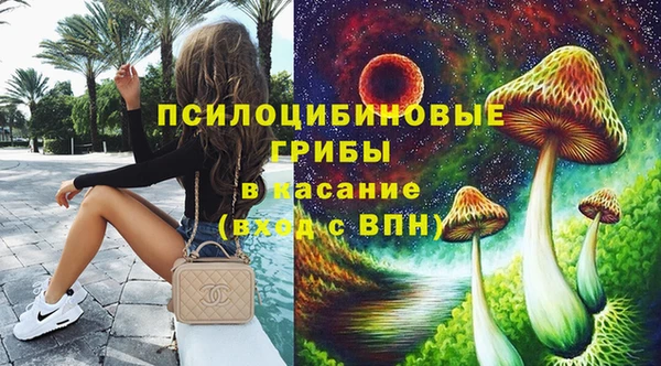 прущая мука Пересвет