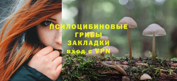 прущая мука Пересвет