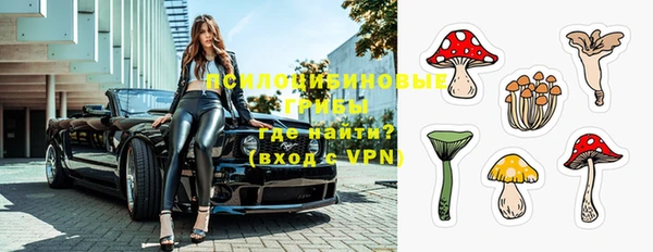 прущая мука Пересвет