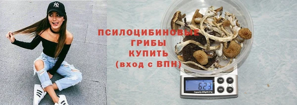 марки lsd Переславль-Залесский