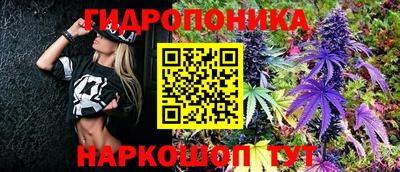 ГАЛЛЮЦИНОГЕННЫЕ ГРИБЫ Кандалакша