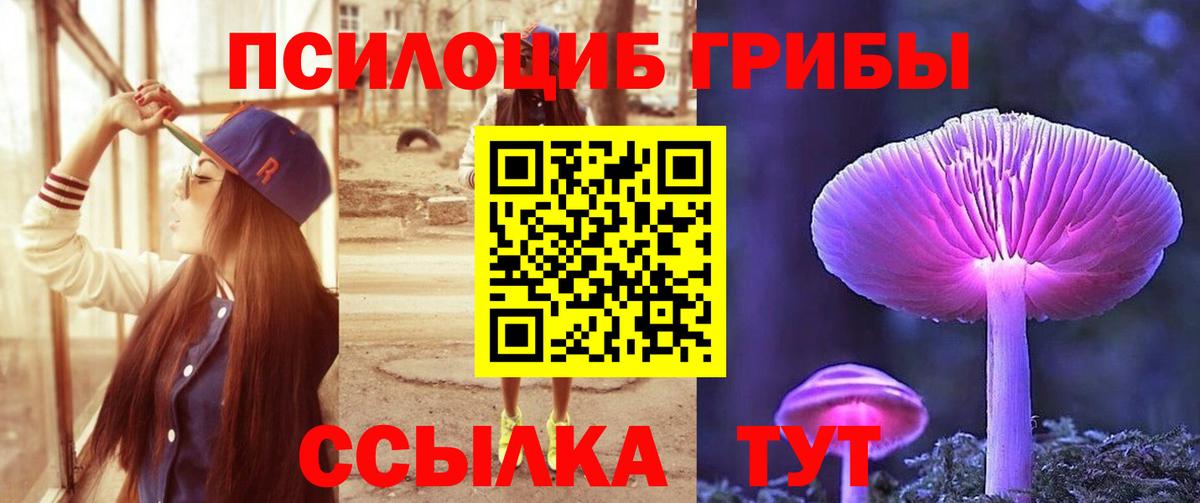 Псилоцибиновые грибы Psilocybe  Саки 